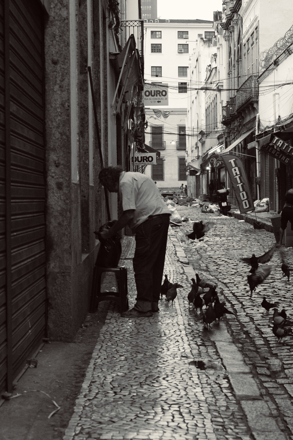 A person and pigeons share a narrow cobblestone street